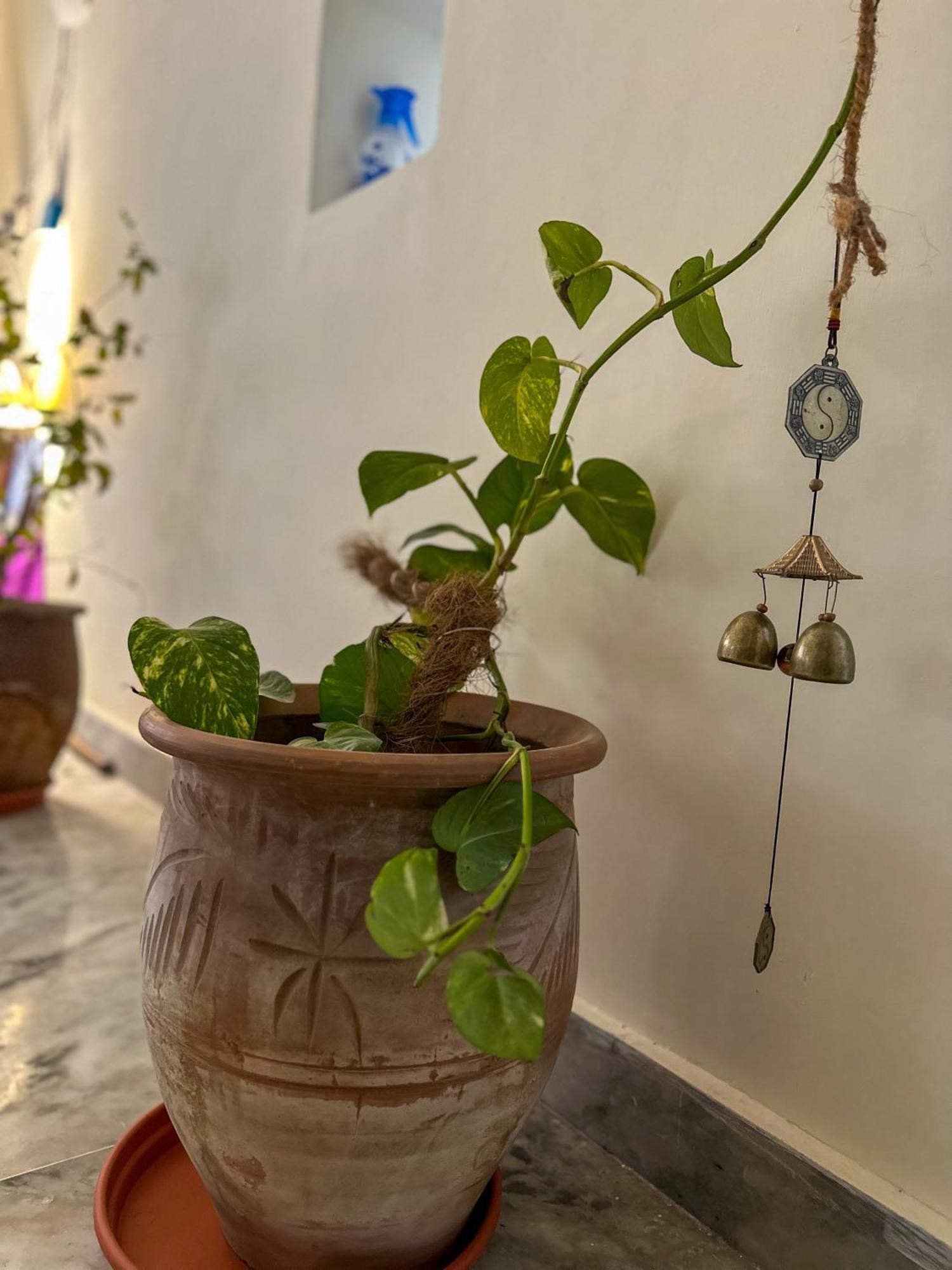 Leela Hatha Rishīkesh Exterior foto